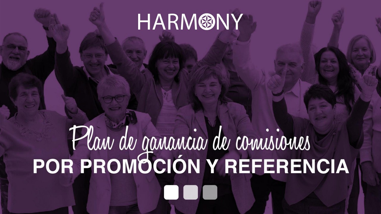 PRESENTACION PLAN DE COMISIONES 02[1]_1