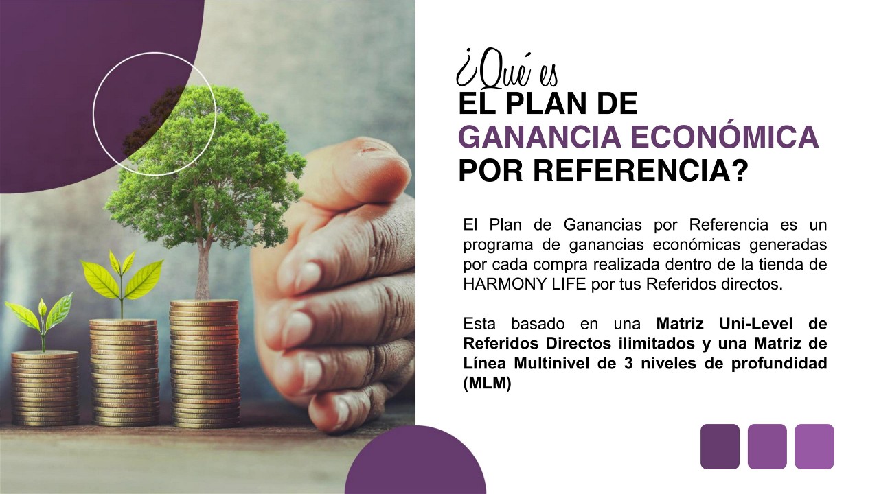 PRESENTACION PLAN DE COMISIONES 02[1]_4