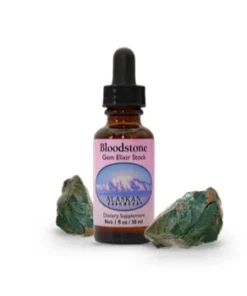 Bloodstone / Heliotropo (piedra de sangre)