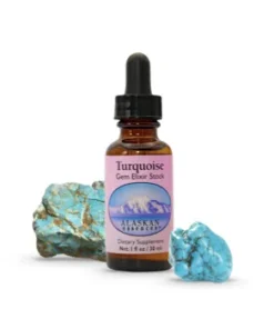 Turquoise / Turquesa