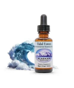 Tidal Forces