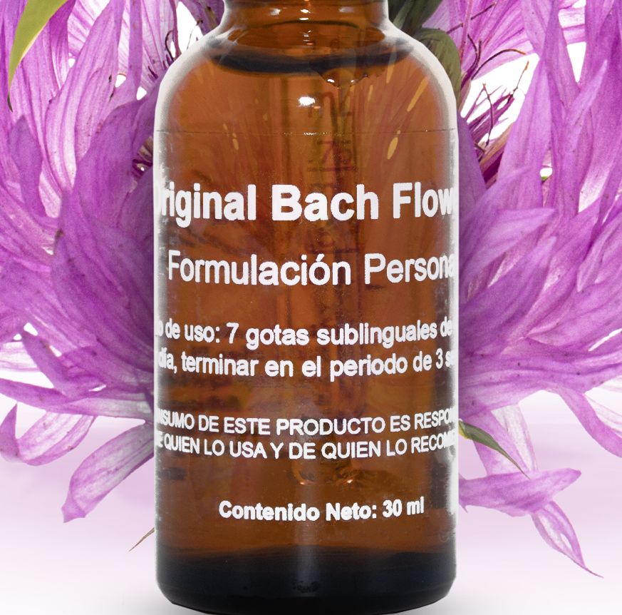Bach_2_jpg_export