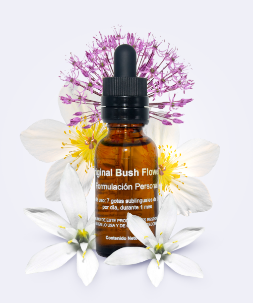 Formulacion Flores de Bush