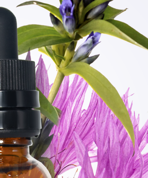 Formulacion Flores de Bach - Imagen 3
