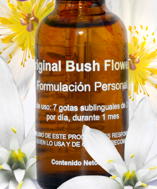 Formulacion Flores de Bush - Imagen 2