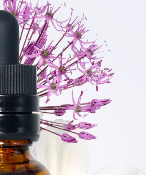 Formulacion Flores de Bush - Imagen 3
