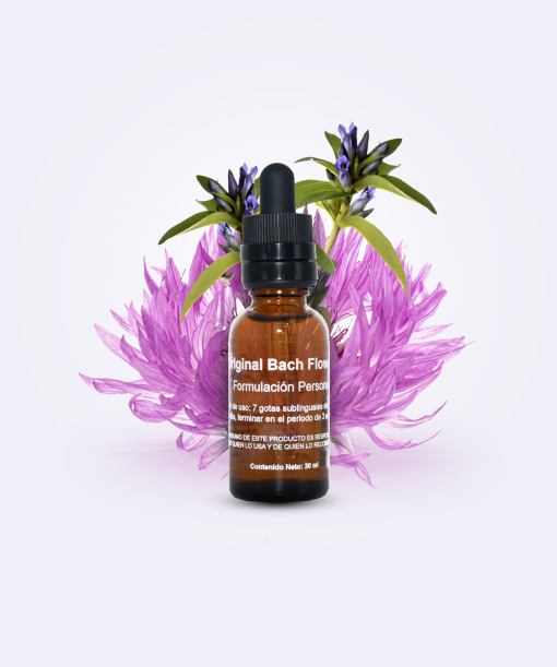 Formulacion Flores de Bach - Imagen 4