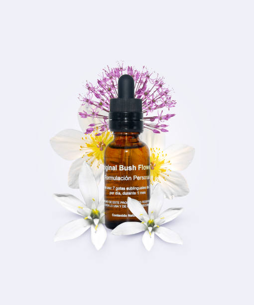 Formulacion Flores de Bush - Imagen 4