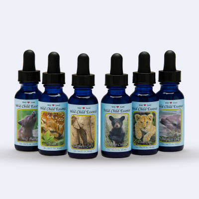 KIT 12 ESENCIAS DE ANIMALES BEBES