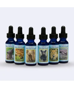 KIT 12 ESENCIAS DE ANIMALES BEBES