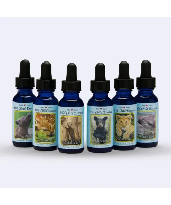 KIT 12 ESENCIAS DE ANIMALES BEBES