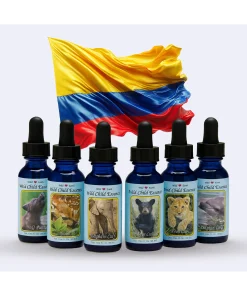 KIT 12 ESENCIAS DE ANIMALES BEBES