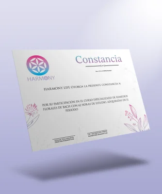 Constancia flores que sanan el alma