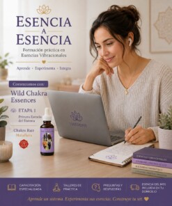 Capacitación de Essences EUR