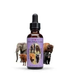First Chakra Essence — Primera Esencia del Chakra