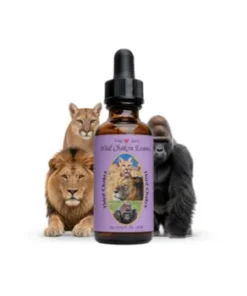 Third Chakra Essence — Tercera Esencia del Chakra