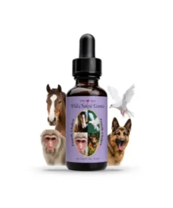 Fourth Chakra Essence — Cuarta Esencia del Chakra