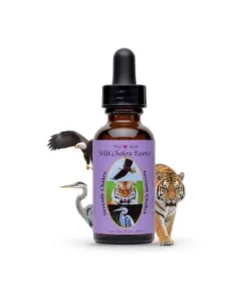 Seventh Chakra Essence — Séptima Esencia del Chakra