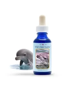 Dolphin Calf — Cría de Delfín