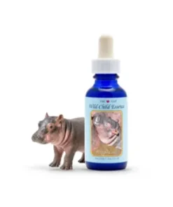 Hippo Calf — Cría de Hipopótamo