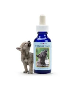 Wolf Pup — Cachorro de Lobo