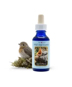 Robin Chick — Polluelo de Petirrojo