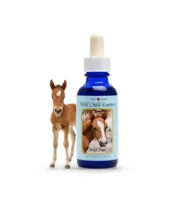 Wild Horse Foal — Cría de Caballo Salvaje