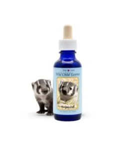 Badger Cub — Cachorro de Tejón