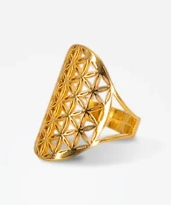 Anillo