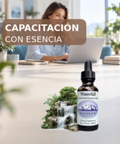 Capacitación con esencia Waterfall