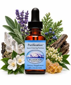 Purification